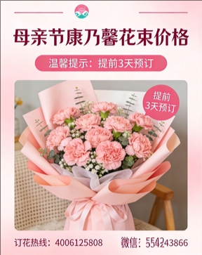 忻州五台县花店母亲节康乃馨花束