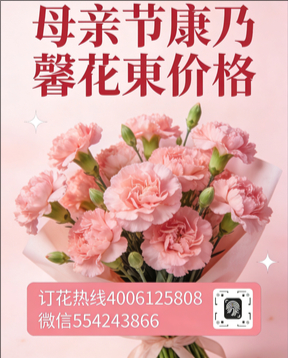 忻州五台县花店母亲节康乃馨花束